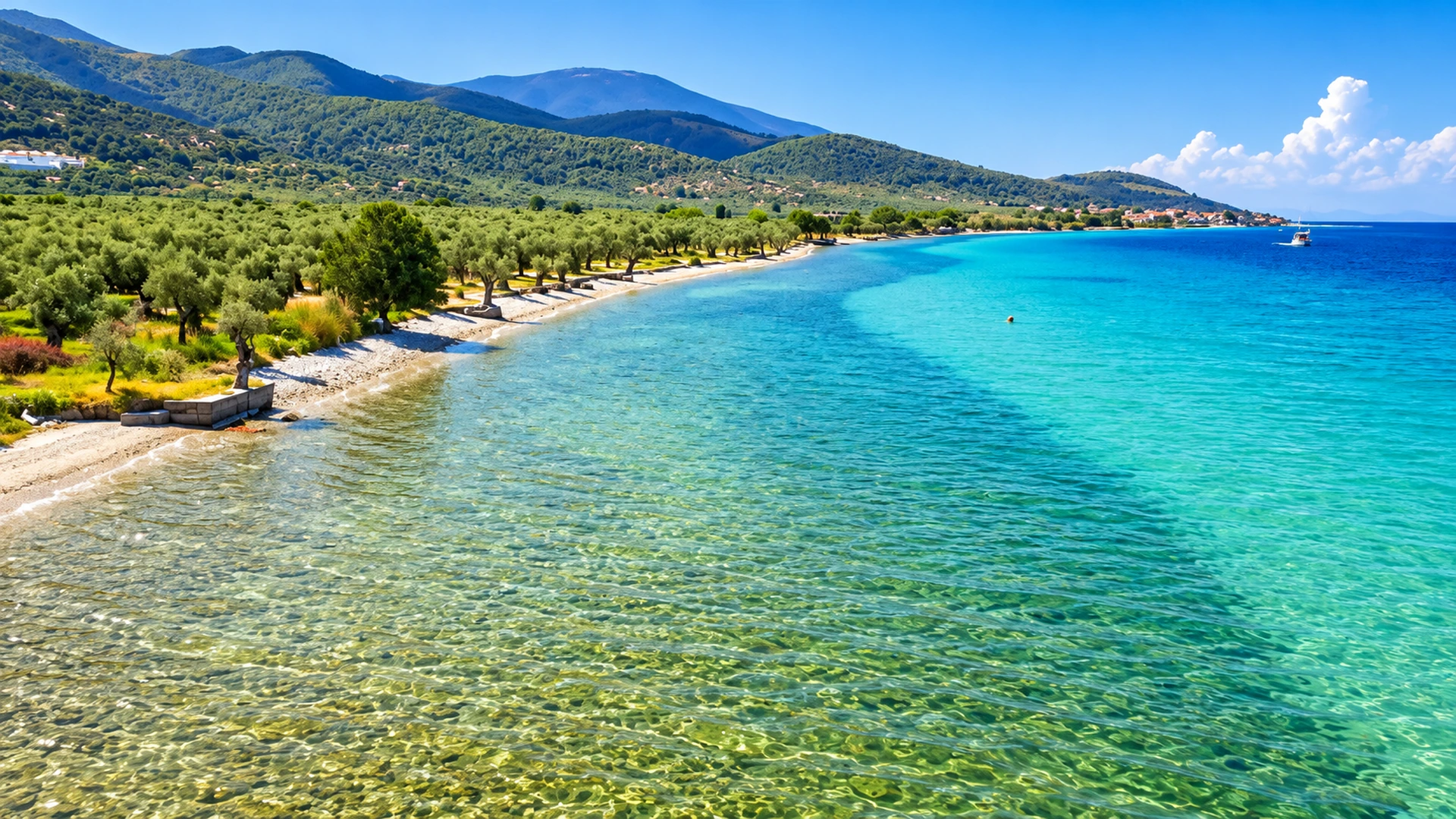 Coastline, turquoise sea and olive groves near Skala Prinos